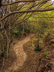 Down the Garden Path