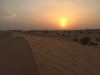 sonnenuntergang in wüste