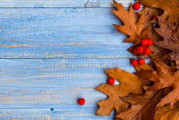 Obraz premium Vintage composition autumn fruit wooden background