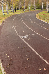 Obraz premium running track of stadium