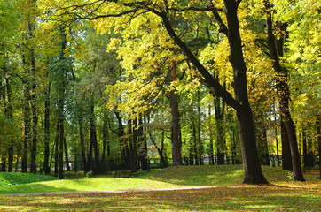MOSCOW, RUSSIA - September 28, 2014: Kuskovo estate of the Shere