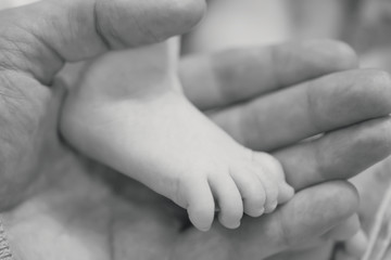 The leg of the infant in parent's hands