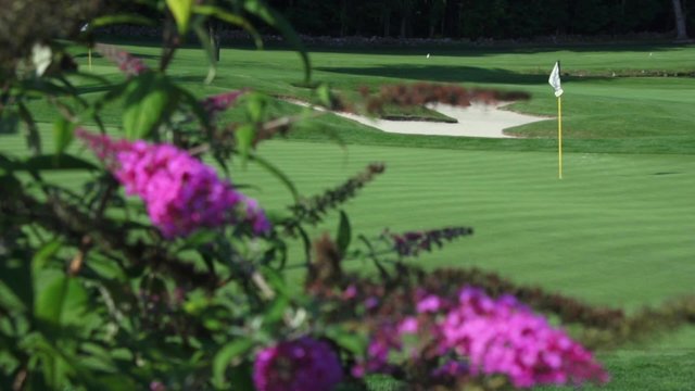 Lush, fun golf course