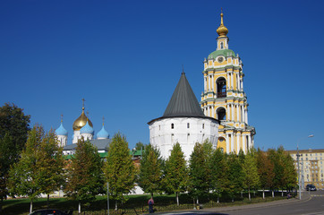 Fototapeta na wymiar MOSCOW, RUSSIA - September 23, 2015: Novospassky Monastery