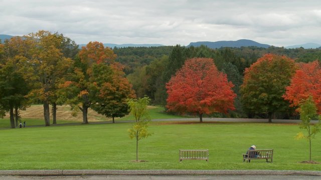 Enjoying the colors of the season
