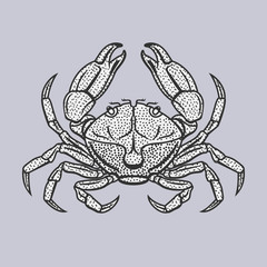 Vector illustration of crab in vintage style isolated on a grey background.