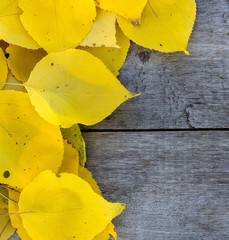 Naklejka premium Yellow autumn leaves on the table of the old wooden planks. Background texture.