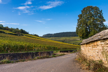 Fototapeta na wymiar Bourgogne