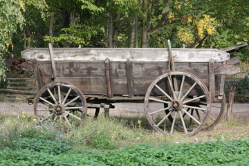 Fototapeta premium Holz Wagen