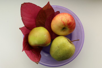 Appels