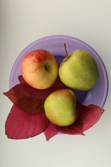 Appels