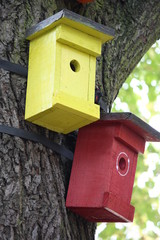 Vogelhaus
