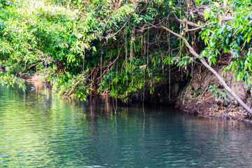 Waterfall Hot Spring river