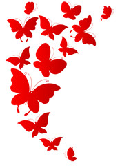 butterflies design © aboard