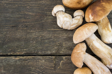 Boletus edulis on a rustic old wood background. Raw seasonal, fresh, taken from woods.
