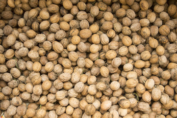 Pile of fresh walnuts