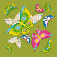 Fototapeta premium butterflies design
