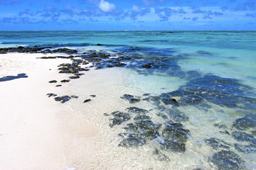 beach ile du cerfs seaweed in indian ocean  and rock