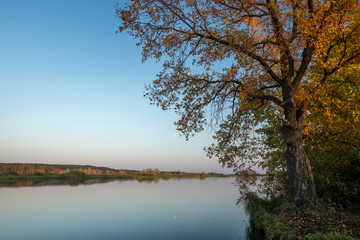 Obraz premium Autumn