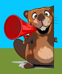 Fun beaver © Julien Tromeur