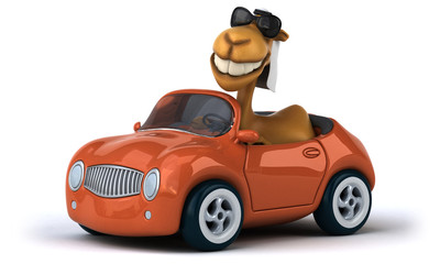 Fun camel