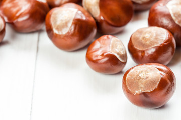 Fruit chestnut on a wood background