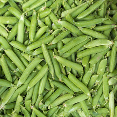 Freash green pea background