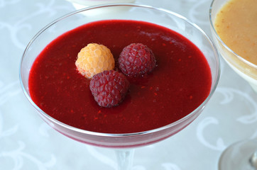 Appetizing and colorful panna cotta in glasses