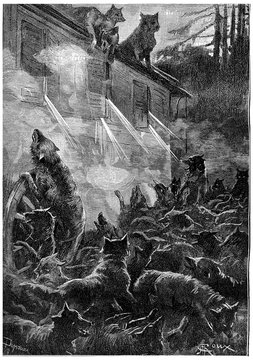 Nothing can stop the rage of the beasts, vintage engraving.