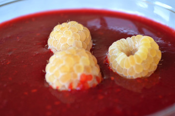 Appetizing and colorful panna cotta in glasses
