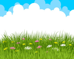 Clouds and meadow