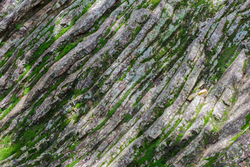 堆積岩　岐阜県　金華山　岐阜公園　Kinkazan Gifu park in Gifu prefecture sedimentary rocks