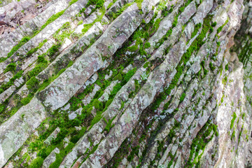 Obraz premium 堆積岩 岐阜県 金華山 岐阜公園 Kinkazan Gifu park in Gifu prefecture sedimentary rocks