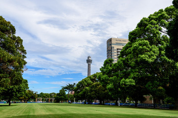 夏の山下公園