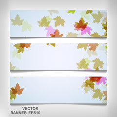 Naklejka na ściany i meble Set of colorful autumn leaves banners