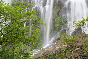 Fototapeta premium Waterfall