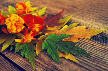 Obraz premium Autumn background with bright autumn flowers and leaves. Autumn flowers and leaves on a textural wooden surface.