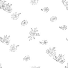 black and white flowers on  white background