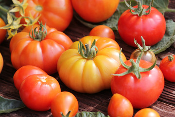 Red tomatoes on wooden background