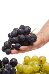 Man hand holding Fresh grape cluster on white with water drops