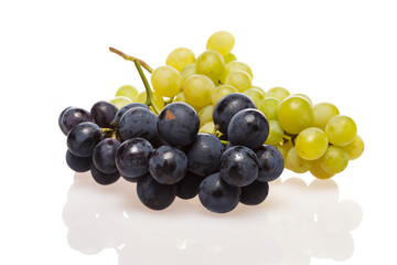 Fresh grape cluster on white with water drops