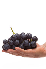Man hand holding Fresh grape cluster on white with water drops