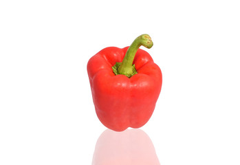 Sweet pepper