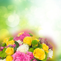 pink  hortensia flowers