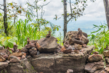 Beautiful stone in wild tropical