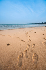 my step