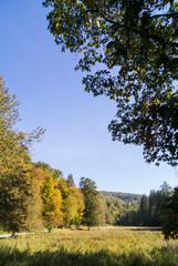 Fototapeta premium Großes Goldersbachtal, Schönbuch, im Herbst