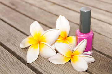 Fototapeta na wymiar Fuchsia nail polish in the bottle and flowers on the woody background