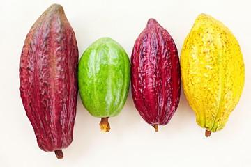 different sorts of colorful cocoa pods on white - obrazy, fototapety, plakaty