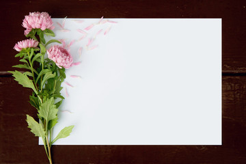 Blank card with flowers aster